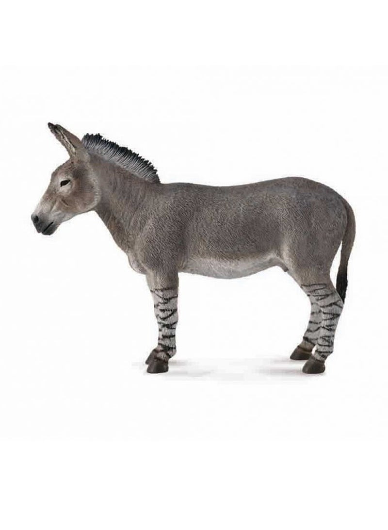 Collecta - African Wild Donkey - 88664