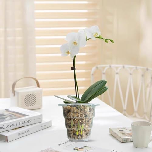 Meshpot 4 inch Clear Orchid Pots with Holes and Saucers for Repotting,Pack of 4,Small Plastic Orchid Planters Provide Good Air Circulation,Nursery Pots for Succulents,Herbs,Aloes,Mint - Image 5