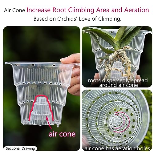 Meshpot 4 inch Clear Orchid Pots with Holes and Saucers for Repotting,Pack of 4,Small Plastic Orchid Planters Provide Good Air Circulation,Nursery Pots for Succulents,Herbs,Aloes,Mint - Image 4