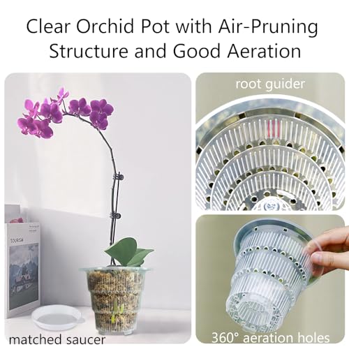 Meshpot 4 inch Clear Orchid Pots with Holes and Saucers for Repotting,Pack of 4,Small Plastic Orchid Planters Provide Good Air Circulation,Nursery Pots for Succulents,Herbs,Aloes,Mint - Image 2
