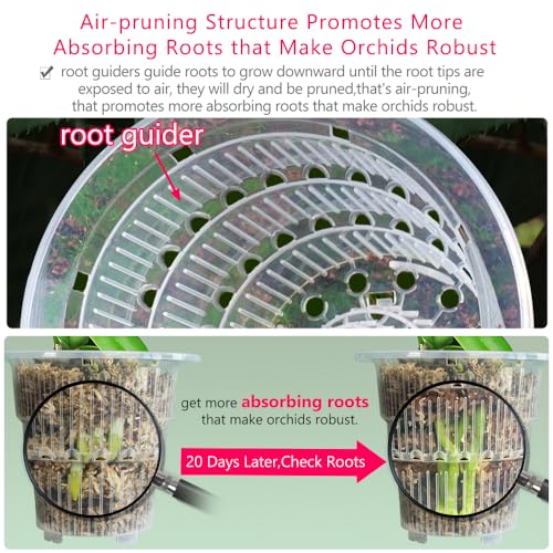 Meshpot 4 inch Clear Orchid Pots with Holes and Saucers for Repotting,Pack of 4,Small Plastic Orchid Planters Provide Good Air Circulation,Nursery Pots for Succulents,Herbs,Aloes,Mint - Image 3
