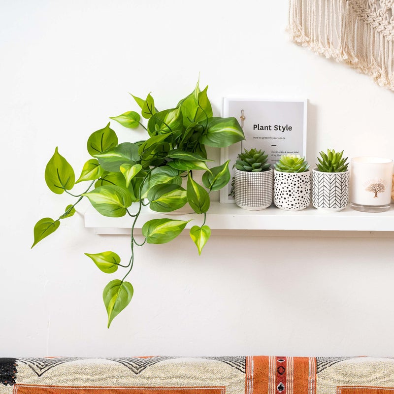 Kurrajong Farmhouse Kurrajong Farmhouse Fake pothos  Fake Plant for Shelf Decor  Artificial Trailing Ivy Plant with 5 Wide Ceramic Pot  Realistic Dark Green Faux pothos Plant for Floating Shelves