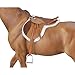 Breyer Traditional Devon Hunt Seat Saddle Horse Toy Accessory - Image 2