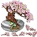 YONGJULE Cherry Blossom Tree Building Toys for Adults Bonsai Botanical Collection Toy Building Sets Plants and Flowers DIY Home Decoration Gifts for Valentines Day Women Kids Not Compatible with Lego - Image 4