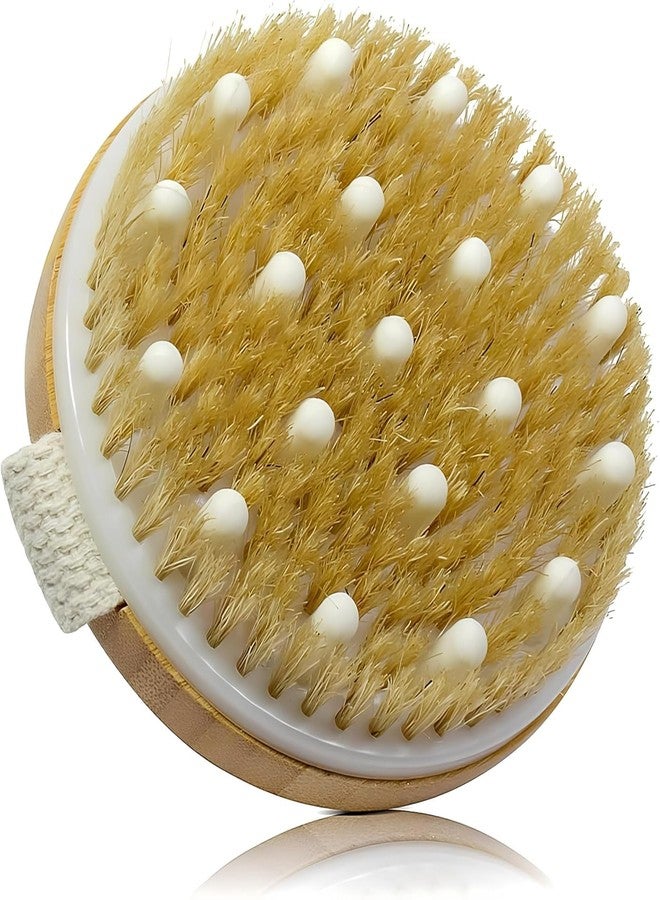 BLISSBORN Dry Brushing Body Brush Exfoliating Brush Body Scrubber Wooden Shower Brush Body Exfoliator Dry Brush Bath Brush for Cellulite and Lymphatic, Improve Circulation, Stop Ingrown Hairs (Pack Of 1) - Image 1