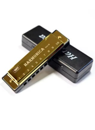 Harmonica Key of C 10 Hole Diatonic Harmonica C with Case for Beginner Students Kids Gift BLUES with case - pzsku/Z182506A513D0A3E4BA68Z/45/1745231751/7fd1e0ad-130a-486b-8120-31613860eb2d