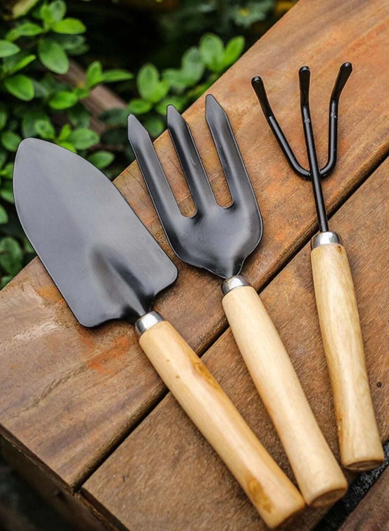 DubaiGallery 3pcs Mini Garden Tool Kit Shovel Rake Spade Garden Tools With Wooden Handle Planting Supplies - Image 2