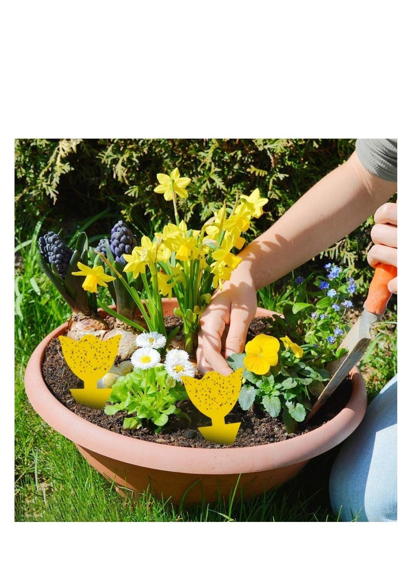 SYOSI Sticky Traps, Fly Trap for Indoor/Outdoor Natural Pest Control, Fruit and Yellow Fungus Gnat Traps for Kitchen, House Plants, Whitefly, Mosquito Bits, Fly Traps Save Your Plants - Image 2