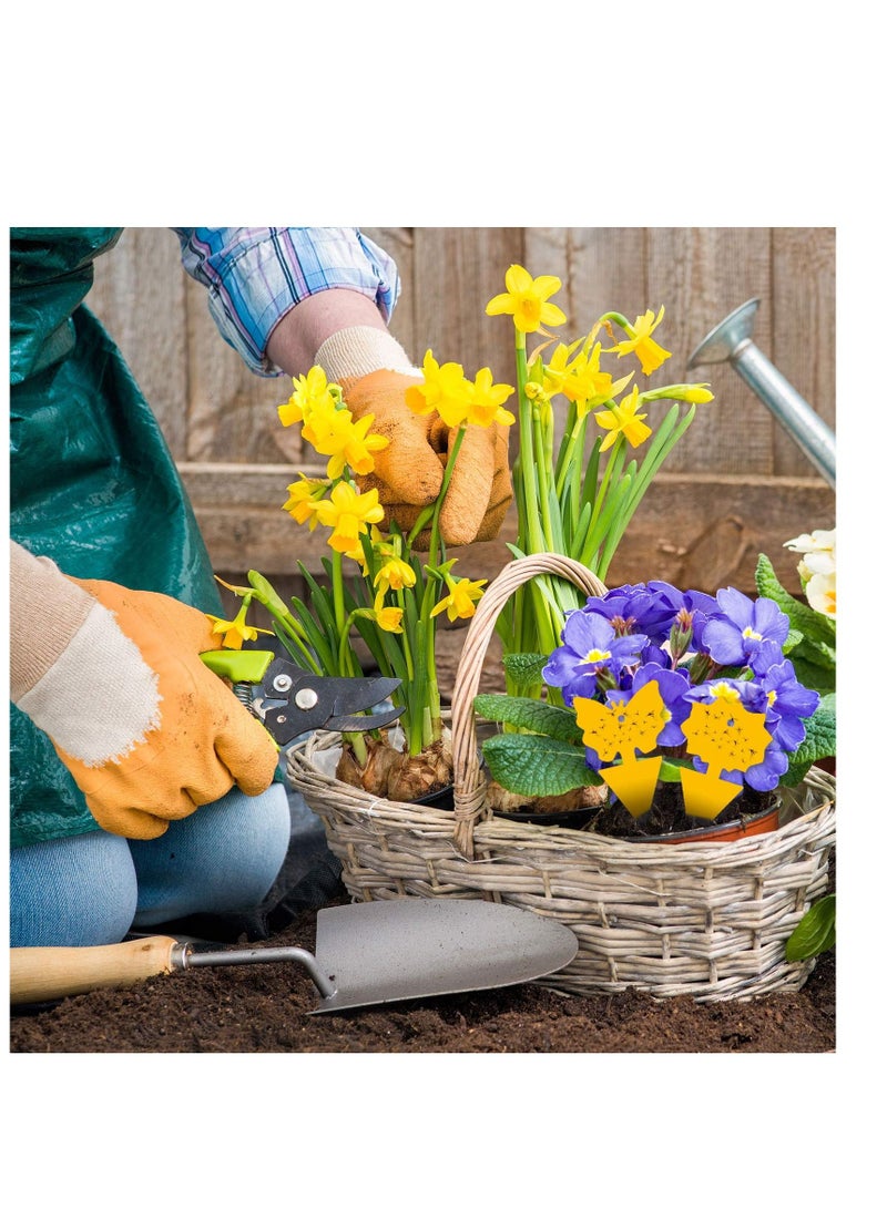 SYOSI Sticky Traps, Fly Trap for Indoor/Outdoor Natural Pest Control, Fruit and Yellow Fungus Gnat Traps for Kitchen, House Plants, Whitefly, Mosquito Bits, Fly Traps Save Your Plants - Image 4