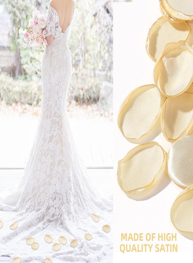 CNYMANY 200pcs Rose Petals, Silk Champagne Gold Flower Petals for Wedding Flower Girl Basket Champagne Rose Petals Bulk for Aisle Table Centerpieces Bridal Shower Decorations Proposal Party - Image 4