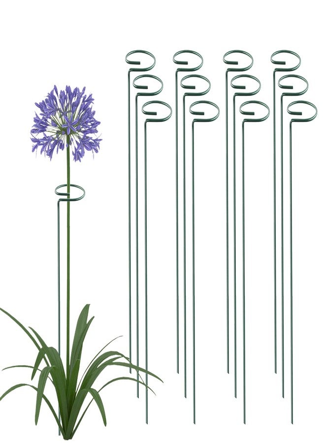 Thealyn 12 Pieces Plant Stake Support ,Garden Single stemmed Plant Support Hoops, Plant Prop, for Flowers,Orchid, Tomatoes Peony Lily Rose (36 inch) - Image 1