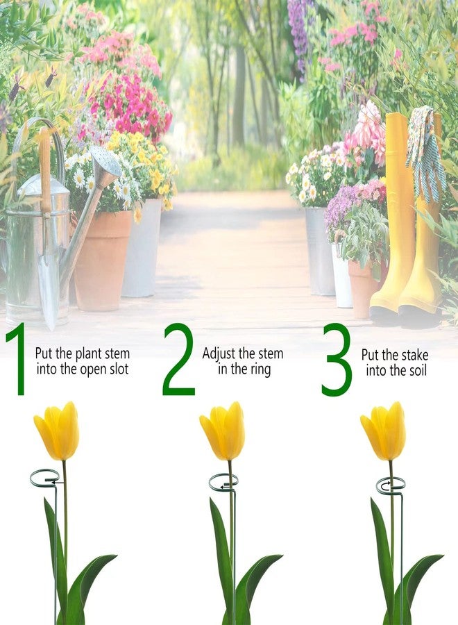 Thealyn 12 Pieces Plant Stake Support ,Garden Single stemmed Plant Support Hoops, Plant Prop, for Flowers,Orchid, Tomatoes Peony Lily Rose (36 inch) - Image 4