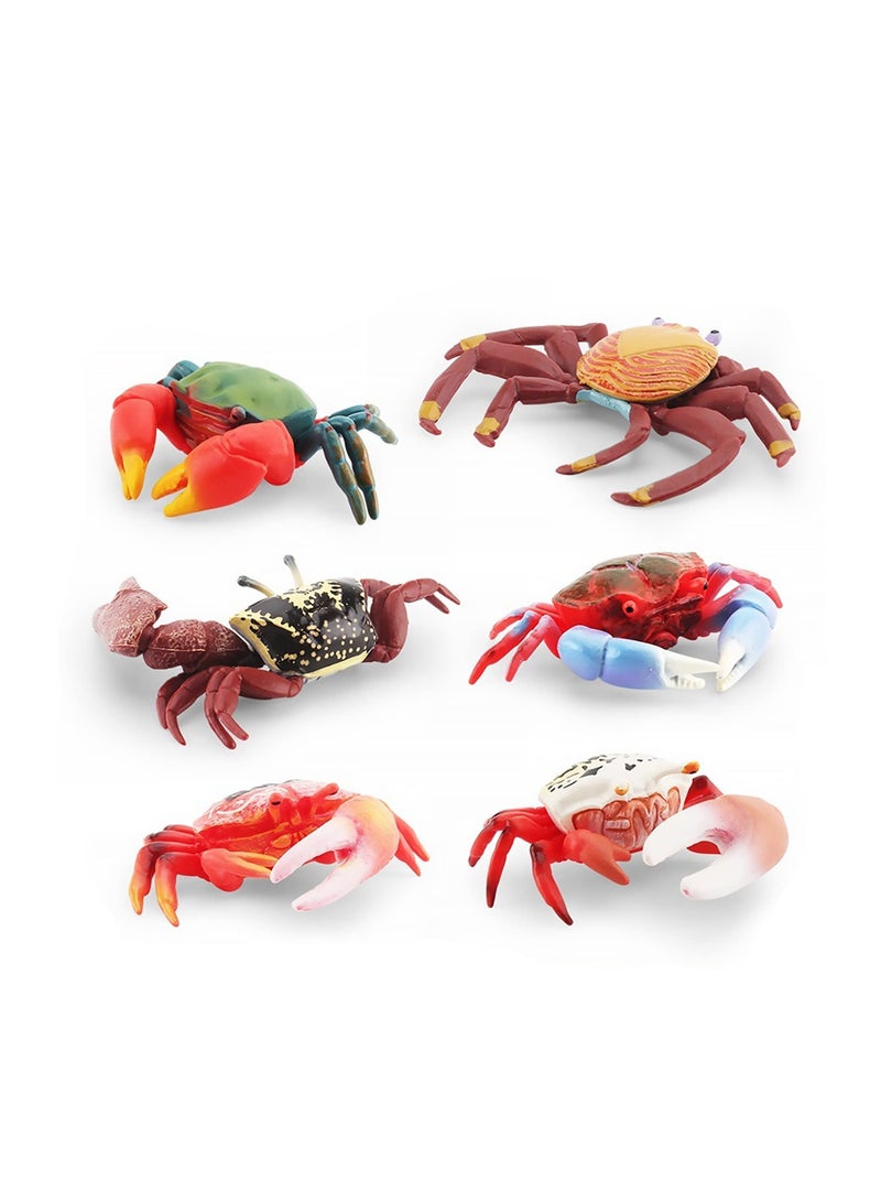 SOLARAE 6 PCS Realistic Crab Figurine, Plastic Marine Animal Crab Figure, Simulated Crab Model for Party Favors Supplies, Cake Toppers Decoration - Image 4