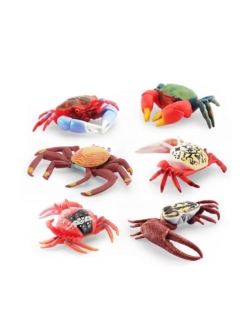 SOLARAE 6 PCS Realistic Crab Figurine, Plastic Marine Animal Crab Figure, Simulated Crab Model for Party Favors Supplies, Cake Toppers Decoration - Image 5