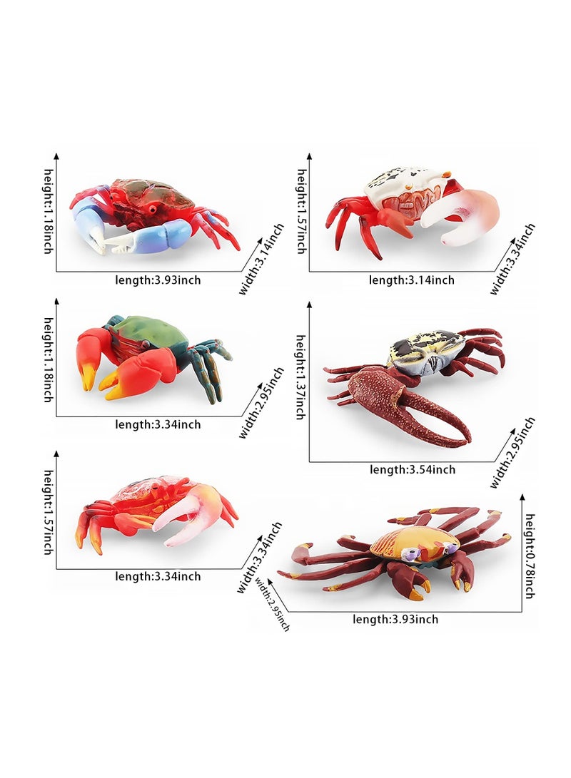 SOLARAE 6 PCS Realistic Crab Figurine, Plastic Marine Animal Crab Figure, Simulated Crab Model for Party Favors Supplies, Cake Toppers Decoration - Image 2