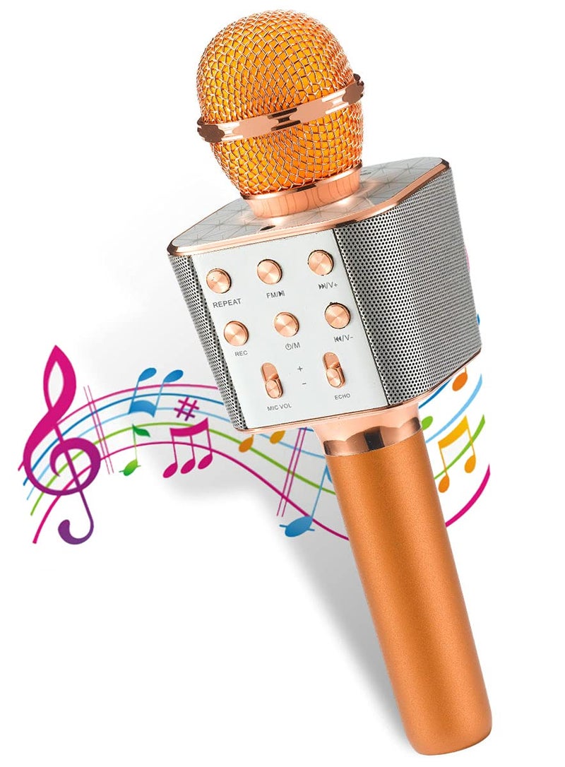 Pick Ur Needs Karaoke Mic for Singing Wireless Bluetooth Microphone Connection Player Speaker 2-in1 with Recording + USB+FM (Copper Boom) - Image 5