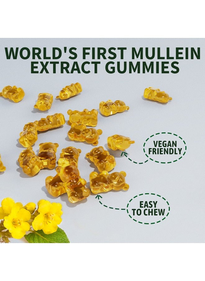 NEVISS - Mullein Leaf Extract 1000Mg For Lung Cleanse Vegan Mullein Gummies For Lung With Quercetin & Bromelain Vitamin D3 Ashwagandha For Calm & Gut Health Chewable Herbal Supplements Nongmo 120 Counts - Image 1