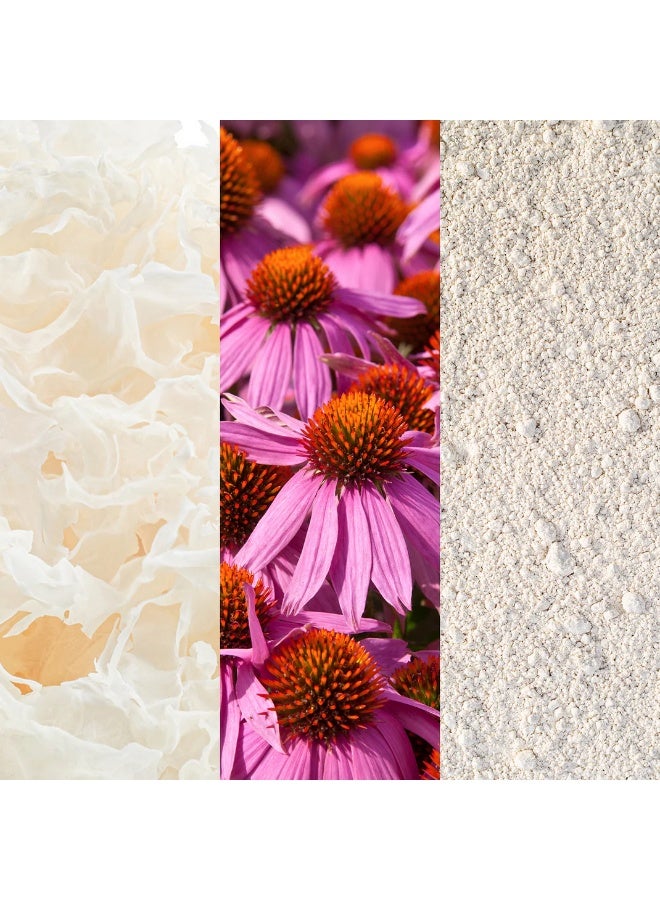 GROWN ALCHEMIST Skin Renewal Mask – Travel Size 20ml - Image 4