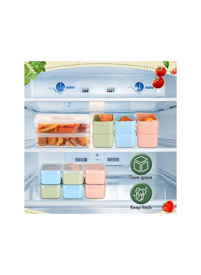 Green Tiger 4 Set Snack Containers, with 3 Removable Compartments Reusable Snack Box, with Lids Stackable Meal Prep Containers, for Fridge Snack Charcuterie Candy Nuts Spice, Microwave Dishwasher Safe - Image 3