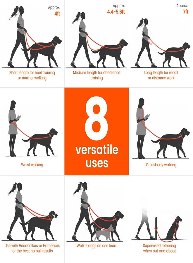 HOWGO Hands Free Dog Leash with Padded Handle,Multifunctional Crossbody Waist Leash for Walking Running Jogging Training,7.5 FT Nylon Adjustable Length for All Breeds(MintGreen, Standard) - Image 3