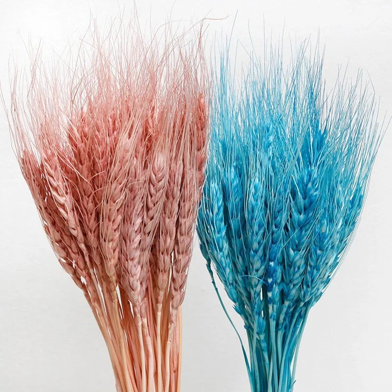 Bluejw G105 Natural Dried Wheat Stalks Bouquet - Golden Wheat Sheaves for DIY Floral Arrangements, Dried Plants Home Decor - Image 4