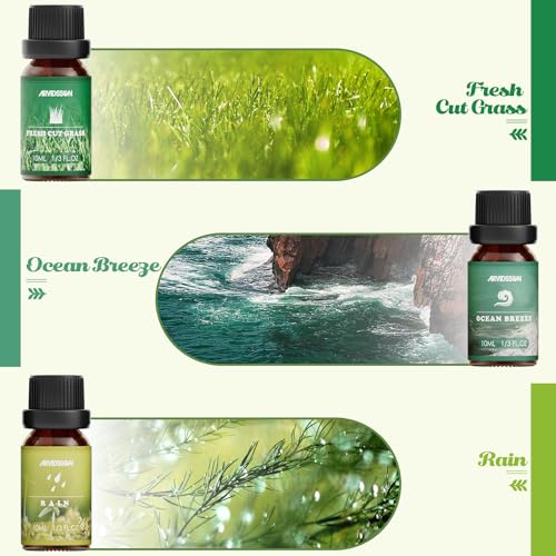 ARVIDSSON Nature Essential Oils Set, ARVIDSSON Natural Fragrance Oils for Candle Making, Fresh Cut Grass, Ocean Breeze, Rain, Pine, Sandalwood, Oakmoss, Diffuser Scented Oils - Image 3