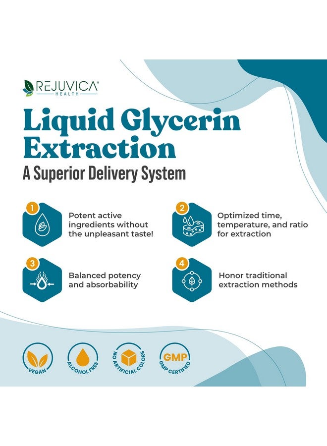 Rejuvica Health MunoMax - Advanced Immune Support Supplement - Liquid Delivery for Better Absorption - Echinacea, Astragalus, Reishi, Goldenseal, Elderberry & More!  - Image 3