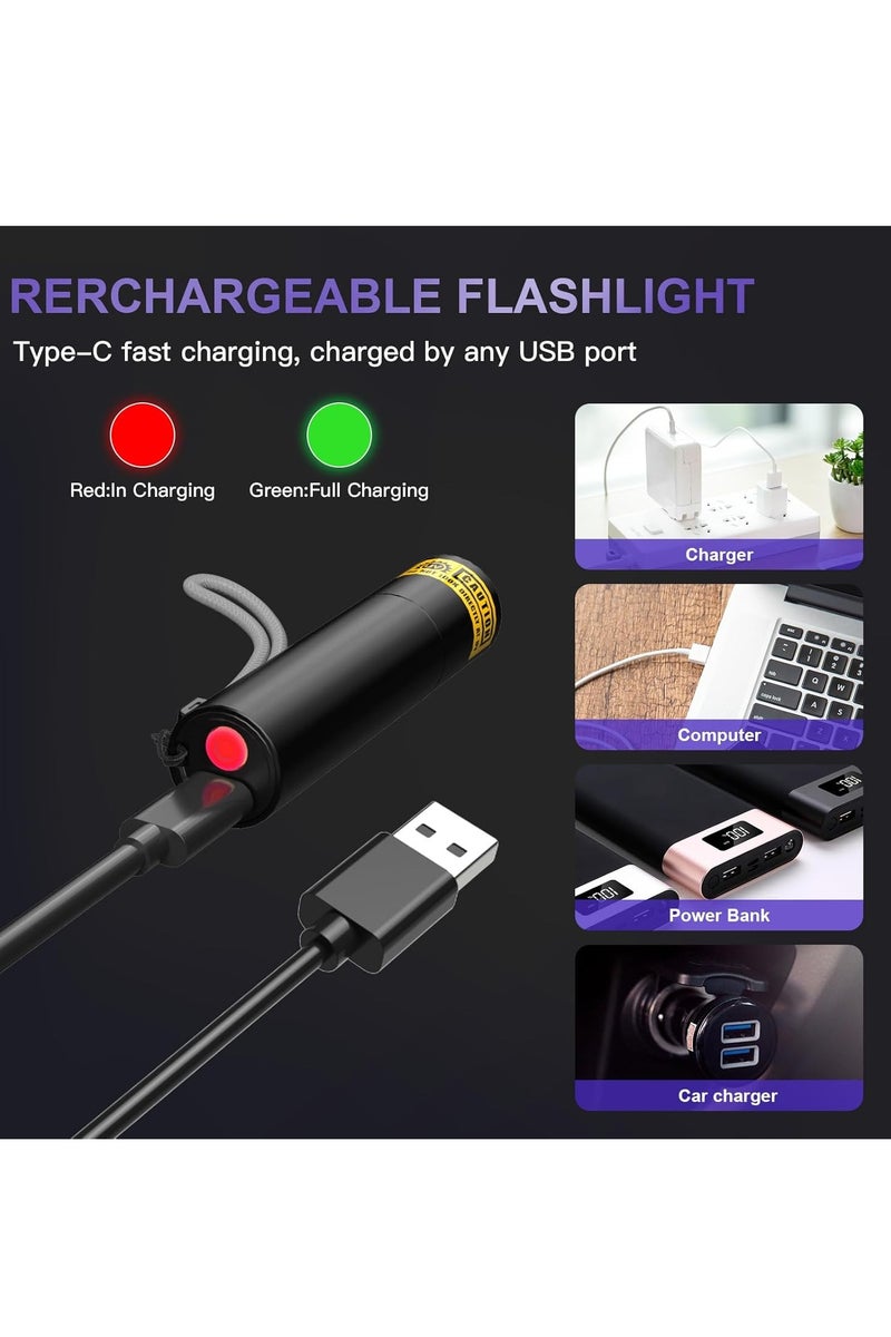 Y&D Black Light UV Flashlight Rechargeable 365nm Ultraviolet Light Mini & Powerful LED Blacklight for Dog/Cat Pet Urine Gel Nail Curing Scorpion Finder Leak Detection - Image 4