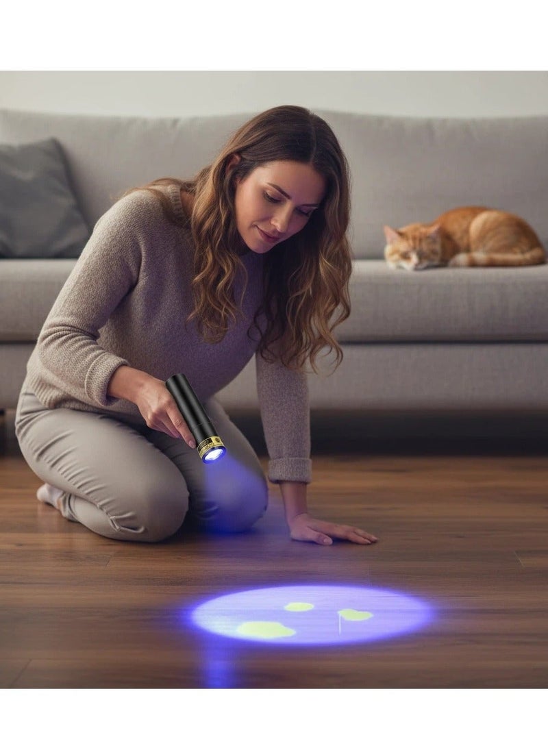 Y&D Black Light UV Flashlight Rechargeable 365nm Ultraviolet Light Protable Rechargeable Mini & Powerful LED Ultrabiolet Light Blacklight for Detecting Pet Urine Stains Fluorescent Material Money and Amber Gel Nail Curing Scorpion Finder Leak Detection - Image 4