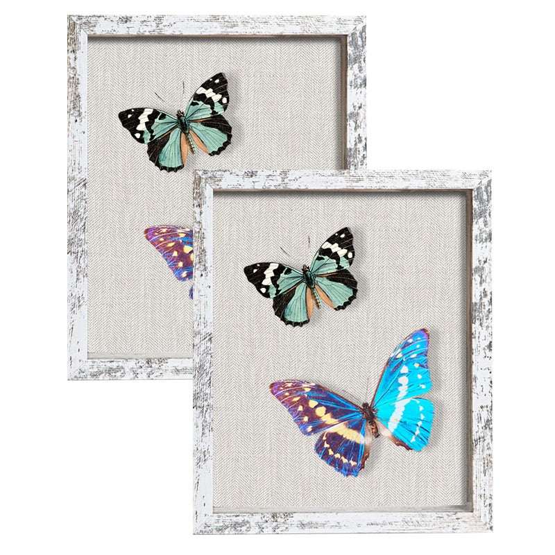 2 Packs 8x10 Shadow Box Frame with Linen Back - Sturdy Rustic Memory Display Case of Flower  Pictures  Medals and More  Distressed White
