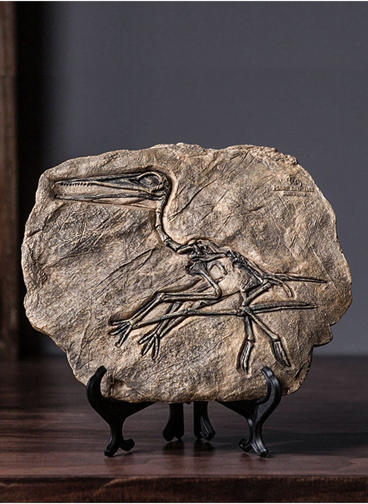 Handcrafted Dinosaur Skeleton Model - Resin Fossils Sculpture with Realistic Details, High Durability, Low Maintainance and a Perfect Home or Office Decoration