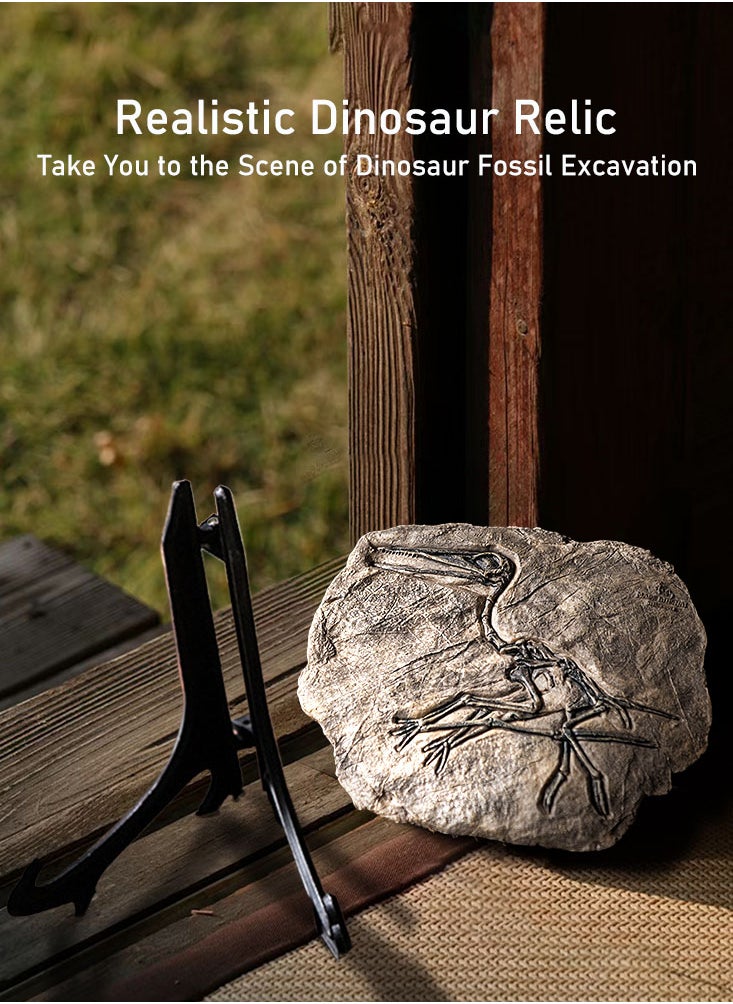 Handcrafted Dinosaur Skeleton Model - Resin Fossils Sculpture with Realistic Details, High Durability, Low Maintainance and a Perfect Home or Office Decoration