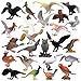 HOMNIVE Realistic Bird Figurines 24pcs Eagle Parrot Robin Owl Toys Fairy Garden Accessories Educational Learning Dollhouse Birthday Cake Topper Gift for Kids - Image 4