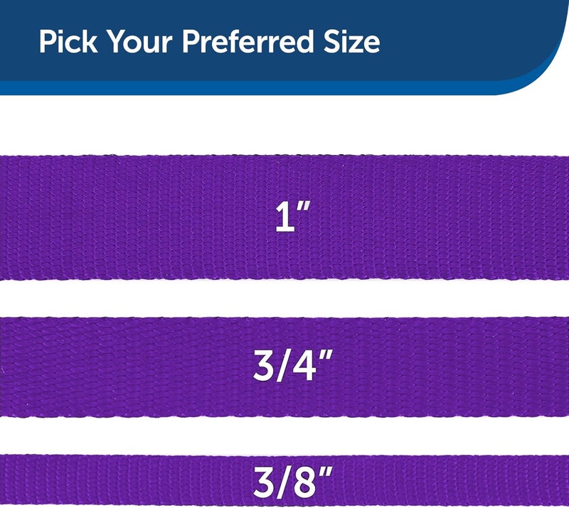 PetSafe Premier 3.5 x 1.8 m Lead - Dark Purple - Image 5