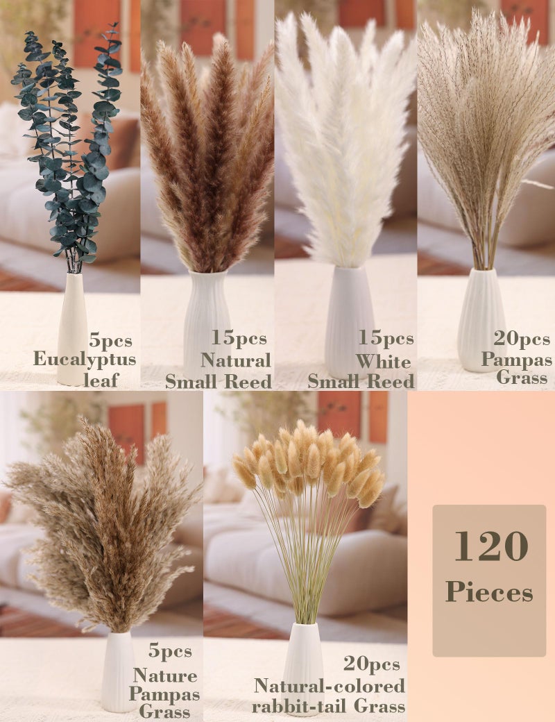 xin's convey 120 PCS Dried Pampas Grass, Dried Flowers, Reed Grass Bouquet for Bohemian Flowers Home Table Wedding Decoration, Rustic Farmhour.(Light Brown) - Image 2