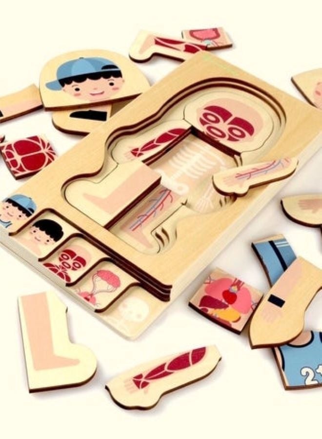 Multi-layer  Human Body Anatomy Puzzle - Boy - Image 4