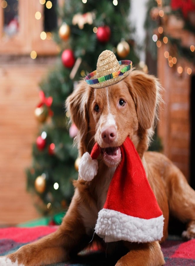 جارنيك مجموعة غارنيك المكونة من 3 قطع من القبعات المكسيكية الصغيرة للحيوانات الأليفة، قبعات سومبريرو صغيرة للكلاب والقطط، زي تنكري ممتع للحيوانات الأليفة، مناسب لتزيين حفلات الهالوين والكرنفالات - Image 5