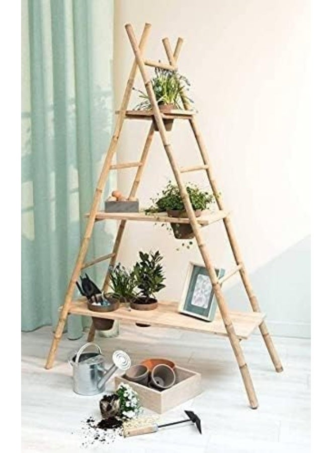 Egardenkart Natural Bamboo Pole/Stake 3 Pieces , 400Cm  - Image 3