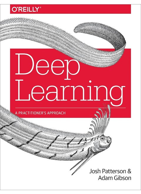 Deep Learning: A Practitioner's Approach