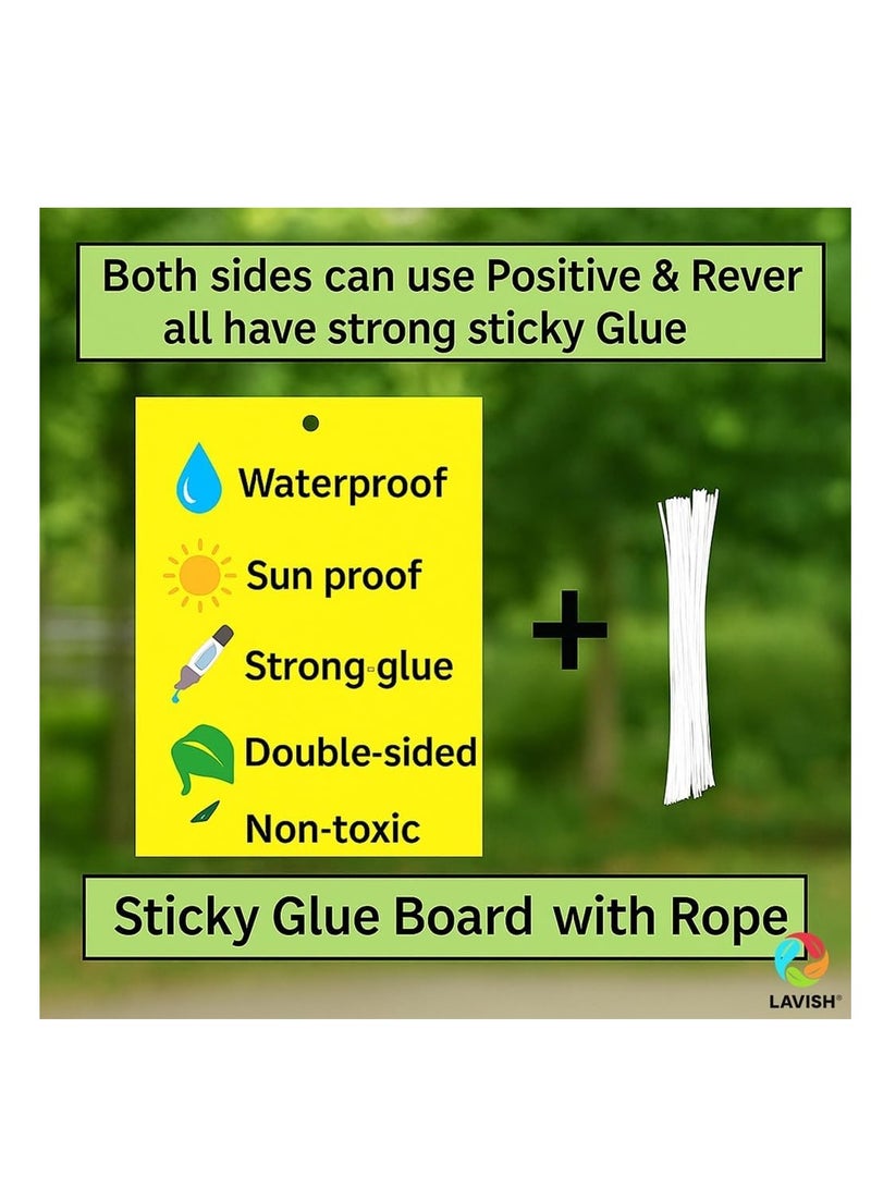 لافيش مصائد ورقية لاصقة صفراء ثنائية الجوانب | مقاس ١٦×٢٥ سم | عبوة من ١٠ قطع | قاتل حشرات النباتات الطائرة | صائد حشرات البعوض | مصائد غراء غير سامة للحدائق والنباتات الداخلية - Image 4