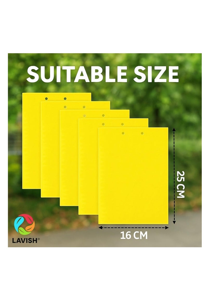 لافيش مصائد ورقية لاصقة صفراء ثنائية الجوانب | مقاس ١٦×٢٥ سم | عبوة من ١٠ قطع | قاتل حشرات النباتات الطائرة | صائد حشرات البعوض | مصائد غراء غير سامة للحدائق والنباتات الداخلية - Image 2