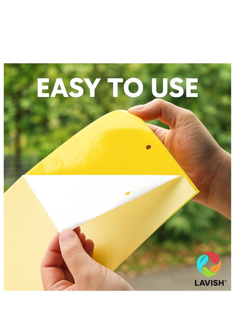 لافيش مصائد ورقية لاصقة صفراء ثنائية الجوانب | مقاس ١٦×٢٥ سم | عبوة من ١٠ قطع | قاتل حشرات النباتات الطائرة | صائد حشرات البعوض | مصائد غراء غير سامة للحدائق والنباتات الداخلية - Image 3