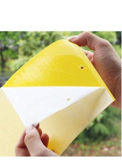 Lavish 10-Piece Double-sided Yellow Greenhouse Sticky Traps Bugs Board Multiple Flying Insect Catching Control Sticker Size 25 x 16 CM  - Image 2