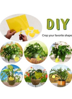 Lavish 10-Piece Double-sided Yellow Greenhouse Sticky Traps Bugs Board Multiple Flying Insect Catching Control Sticker Size 25 x 16 CM  - Image 5