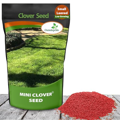 Outsidepride Perennial White MiniClover Seed - 1/4 lb. Dwarf, Small-Leaved, Drought & Wear-Tolerant Micro Clover Seeds for Lawn, Ideal Low-Maintenance & Easy to Grow Ground Cover Seeds for Home Yard - Image 1