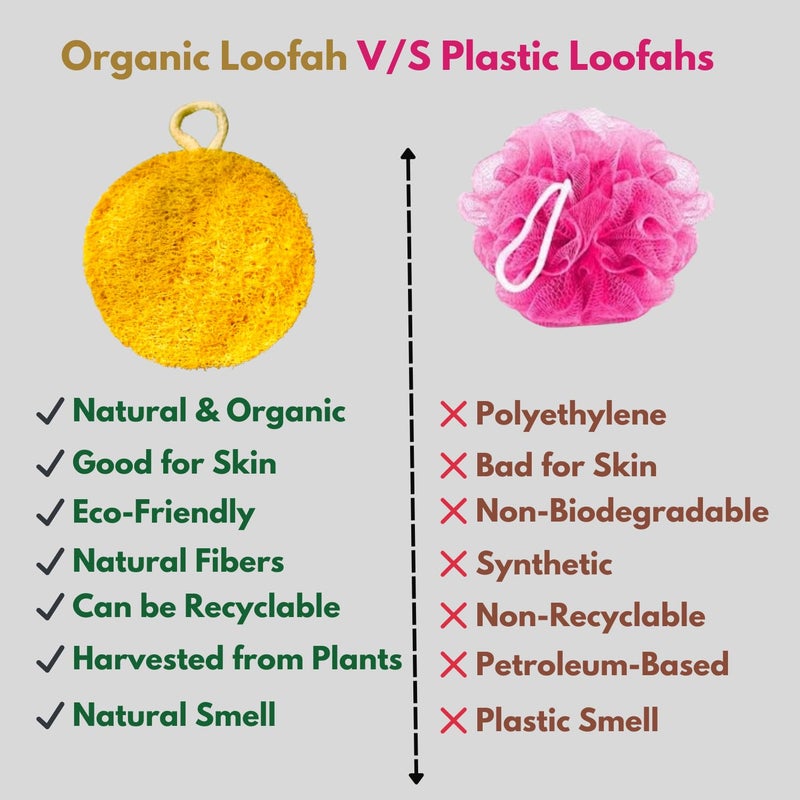 Dinya™ Loofah Sponge | 100% Natural Loofah Body Sponge & Scrubber | Organic Luffa for Bath Shower Skin Exfoliation | Ideal for Men & Women (Count 1) - Image 2
