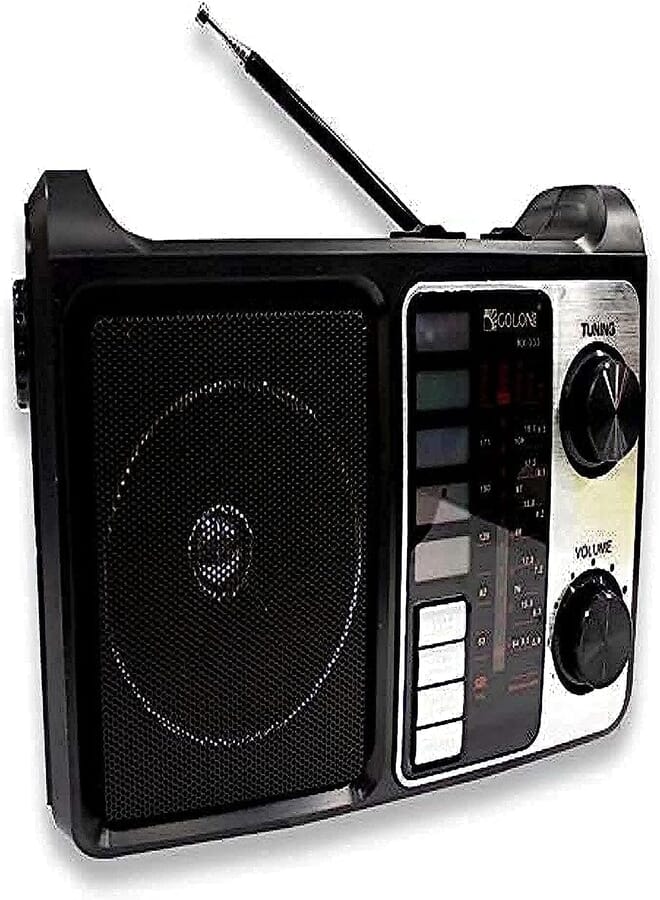 Golon RX-333 Bluetooth Speaker and FM Radio with LED Lights - Black