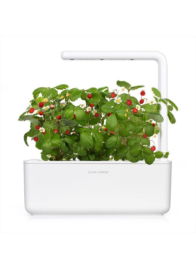 CLICK AND GROW Smart Garden Wild Strawberry Plant Pods, 3 Count ( pack of 1)  - Image 3