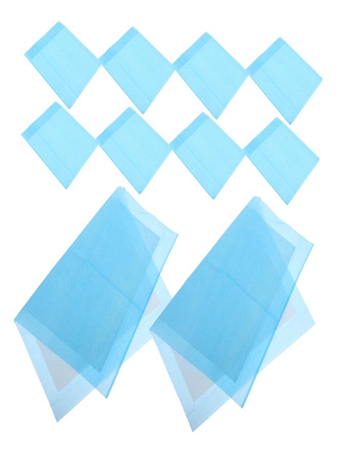 Sosoport The Birdcage Cage Liner Paper 10 Pcs Set Bird Dung Pad Water Absorbing Pad Paper for Parrots - Image 1