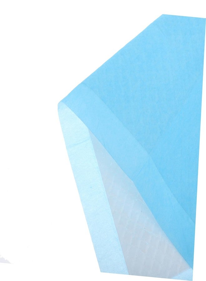 Sosoport The Birdcage Cage Liner Paper 10 Pcs Set Bird Dung Pad Water Absorbing Pad Paper for Parrots - Image 3